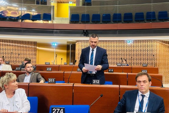 Predsjedavajući Delegacije PSBiH u PSVE Saša Magazinović govorio na plenarnom zasjedanju PSVE u Strazburu 
